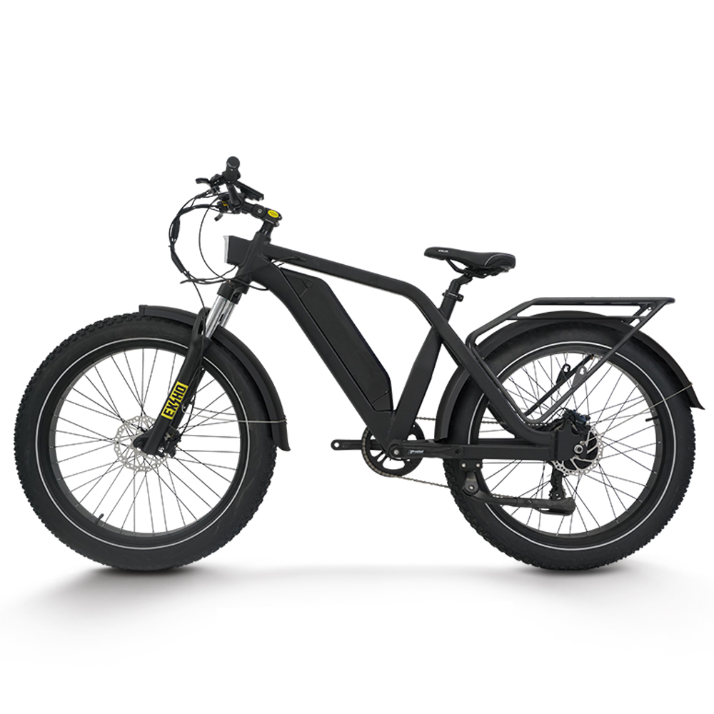 *forElectric Bike for Adults 1 - 48V 1500W Rear Hub Motor With Battery review and price